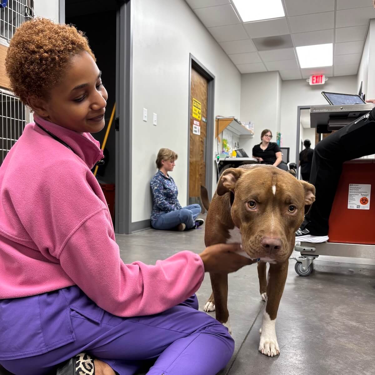 About The Pet Space Veterinary Hospital