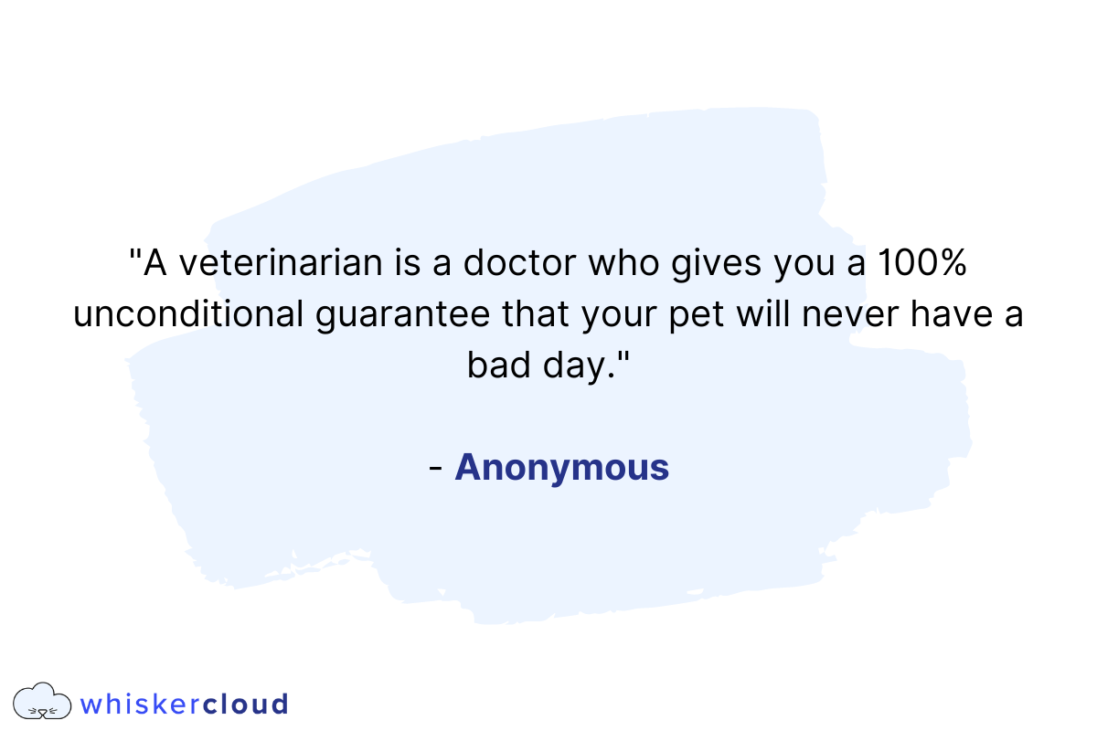 Famous Quotes About Veterinarians